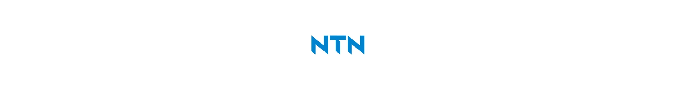 Marchi Partner Cataloghi NTN M
