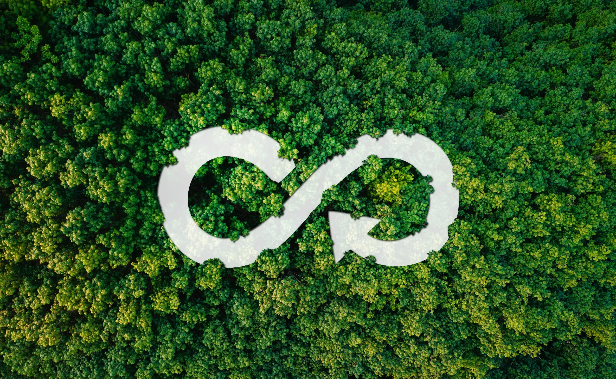 Puglia Trasmissioni Copertina News Ecosostenibilità