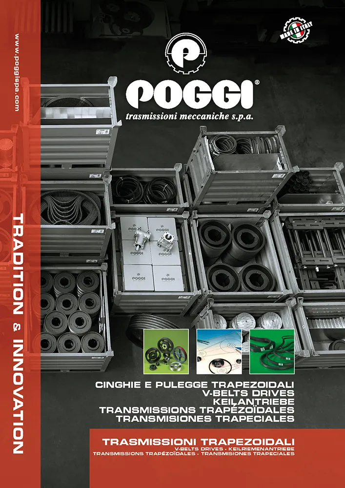 POGGI CINGHIE E PULEGGE TRAPEZOIDALI - I
