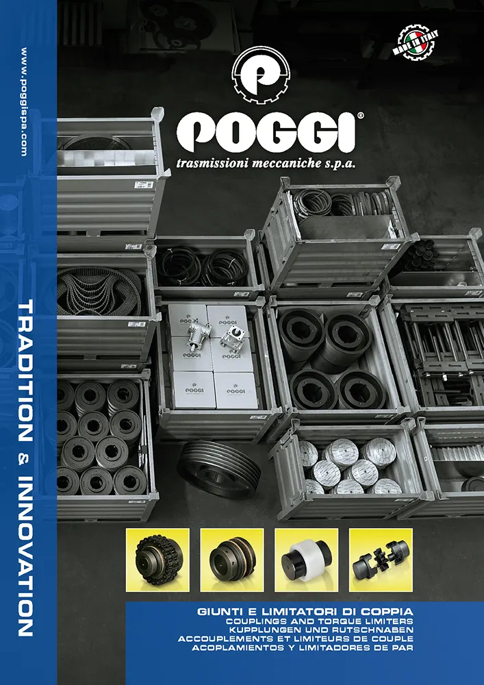 POGGI GIUNTI E LIMITATORI DI COPPIA - I