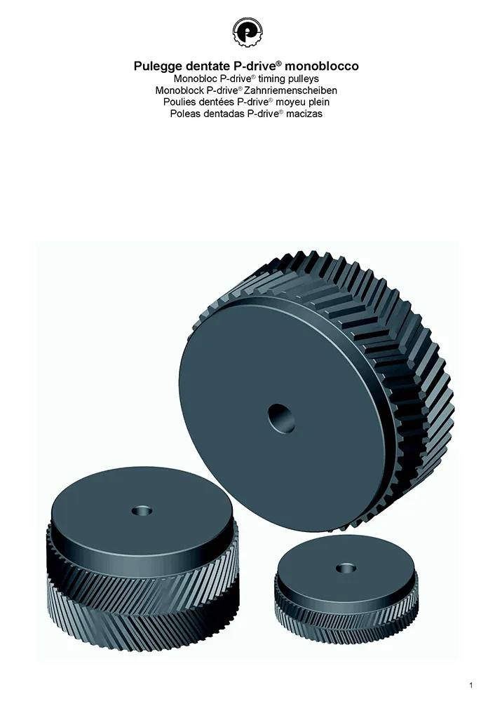 POGGI PULEGGE DENT MONOBLOCCO - I